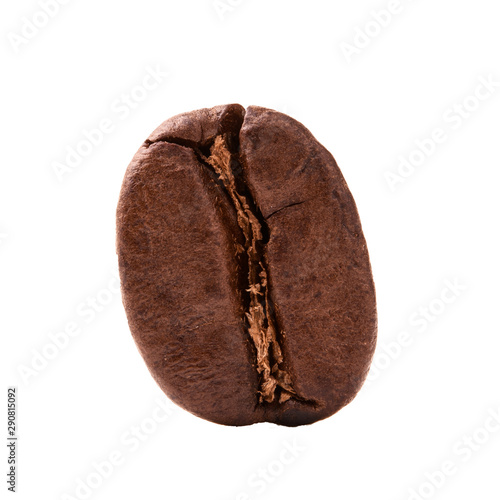 one coffee bean on white isolated background close-up