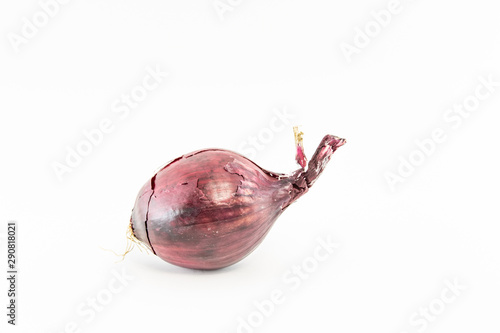Red onion. Isolate on a white background.