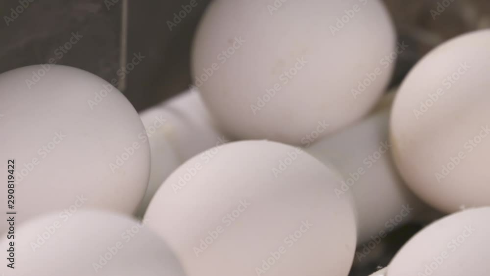 Fresh eggs moving along a conveyer at a poultry farm. Fresh eggs moving along a conveyer at a poultry farm.