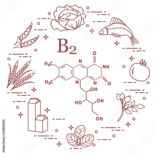 Foods rich in vitamin B2. Fish, peas and other.