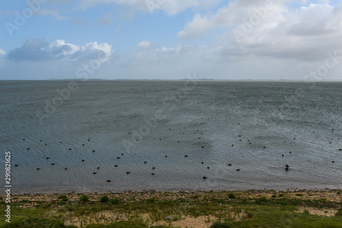 Nordsee Ufer am Wattenmeer mit Eiderenten bei Flut photo