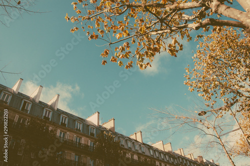 Wallpaper Mural Autumnal day in paris view throught the camera, retro tone used to give a romantic feeling, Torontodigital.ca