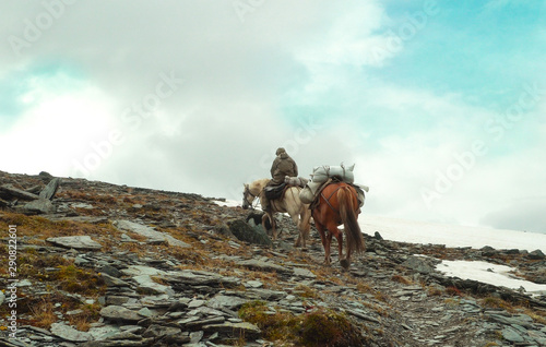 A rider with two horses walks along the path to the mountains.