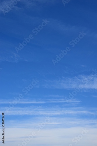 Wallpaper Mural Weiße Schleierwolken vor blauen Himmel Torontodigital.ca