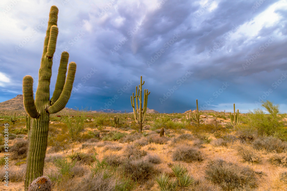 Stormy Skies In the Arizona Desert Near Phoenix Stormy Skies In the Arizona Desert Near Phoenix
