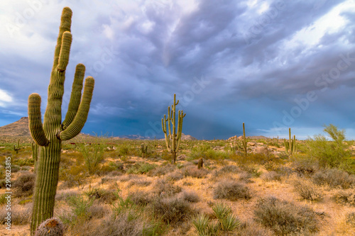 Stormy Skies In the Arizona Desert Near Phoenix © Ray Redstone