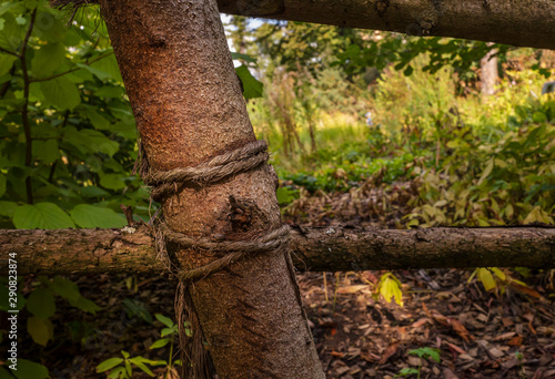 A simple fence of sticks and coarse rope