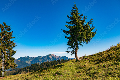 Beautiful alpine view at Annaberg, Lammertal, Salzburg, Austria photo