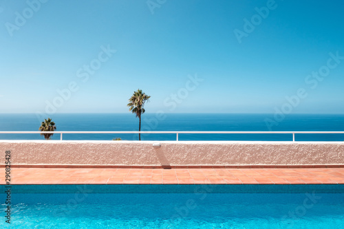 outdoor swimming pool with ocean view  palm trees and clear blue sky -