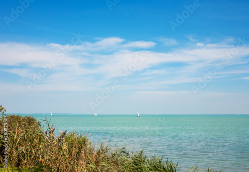 Lake Balaton coast with reed and sailboats in Hungary