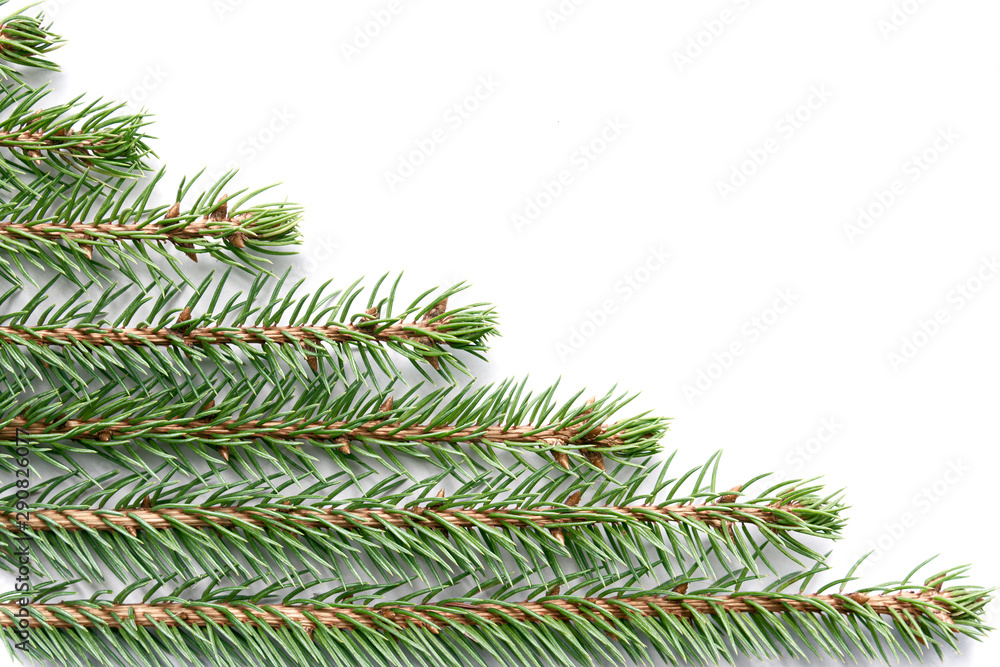 Sprigs of spruce with snowflakes are arranged horizontally in even rows on a white background forming a diagonal. Christmas, new year concept, texture.