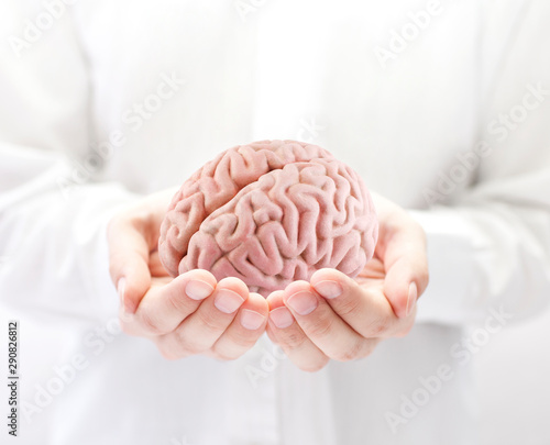 Human brain in hands