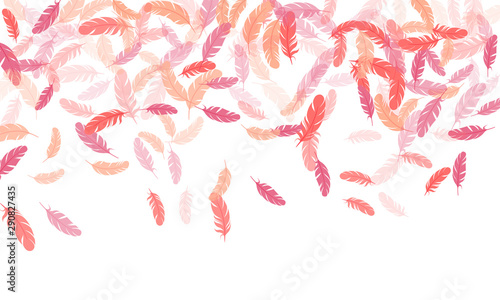 Detailed majestic feather on white design.