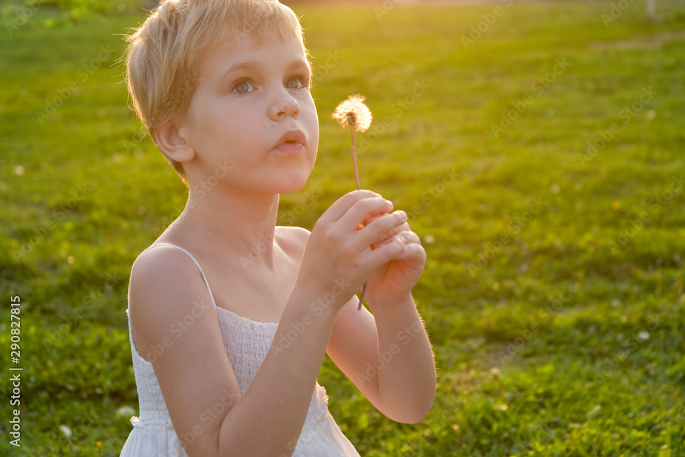 Girl blowing on a dandelion, in the rays of the warm setting sun Girl blowing on a dandelion, in the rays of the warm setting sun