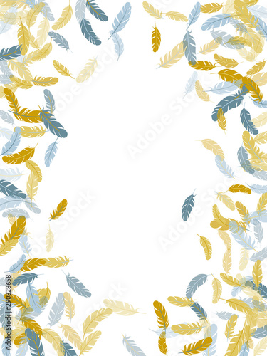 Flying feather elements airy vector design.