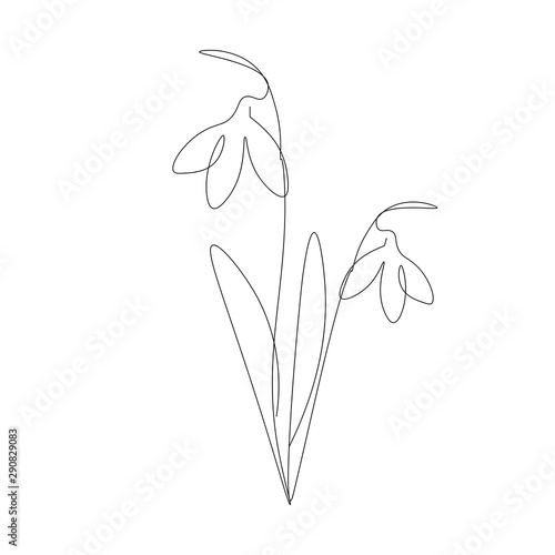 Snowdrop flowers icon vector illustration