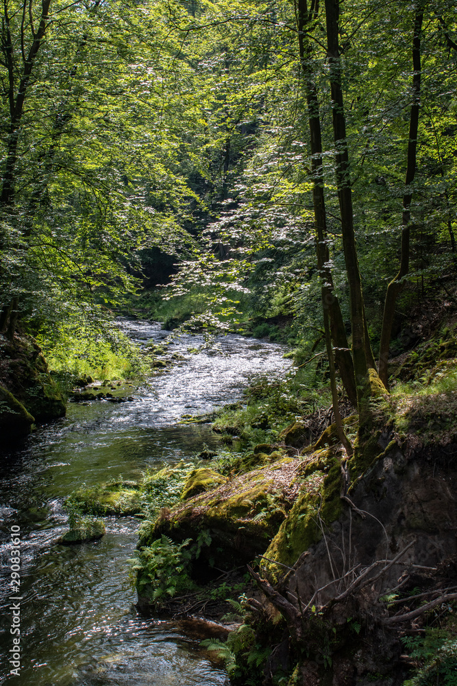 View from the wild Edmunds Gorge in Bohemian Switzerland near the town of Decin, Czech Republic