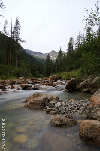 A river among the woods and nature of the Italian Alps, near the town of Macugnaga - August 2019.