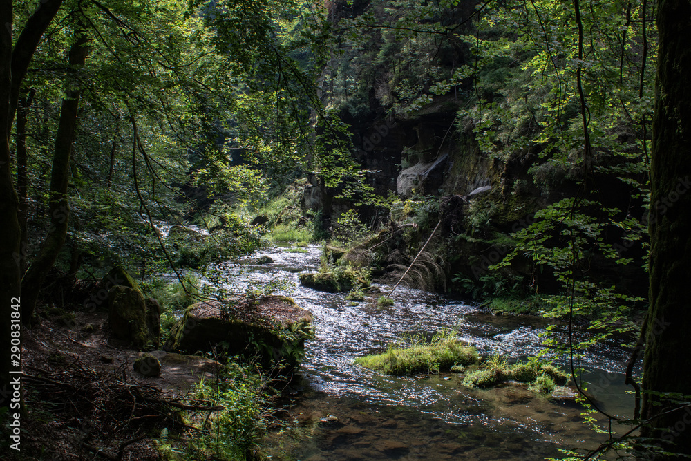 View from the wild Edmunds Gorge in Bohemian Switzerland near the town of Decin, Czech Republic View from the wild Edmunds Gorge in Bohemian Switzerland near the town of Decin, Czech Republic