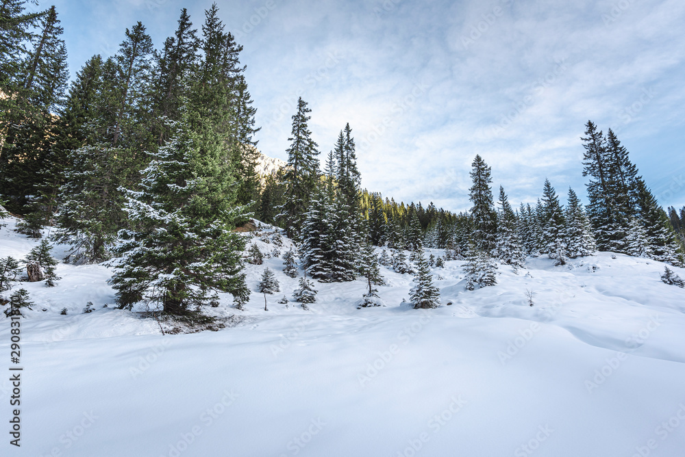 Fresh white snow in the Austrian Alps. Snowy trees and snowdrifts