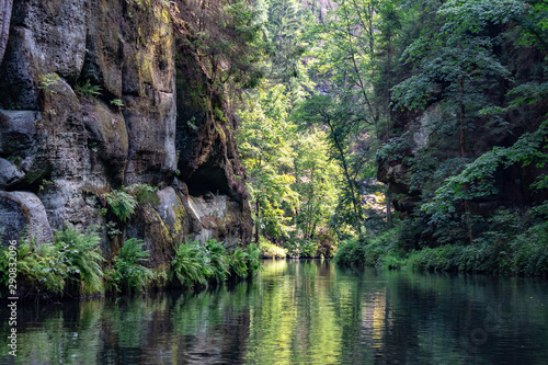 View from the wild Edmunds Gorge in Bohemian Switzerland near the town of Decin, Czech Republic