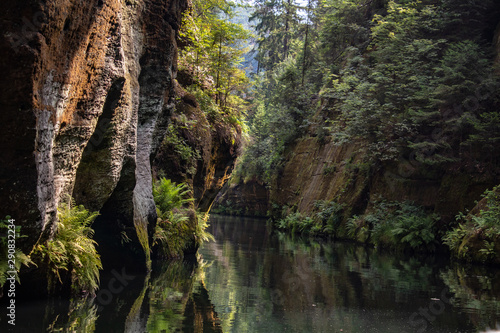 View from the wild Edmunds Gorge in Bohemian Switzerland near the town of Decin  Czech Republic
