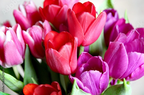 Flowers bouquet of color tulips for 8 of march, birthday, holiday, mother's day, valentine day with greetings