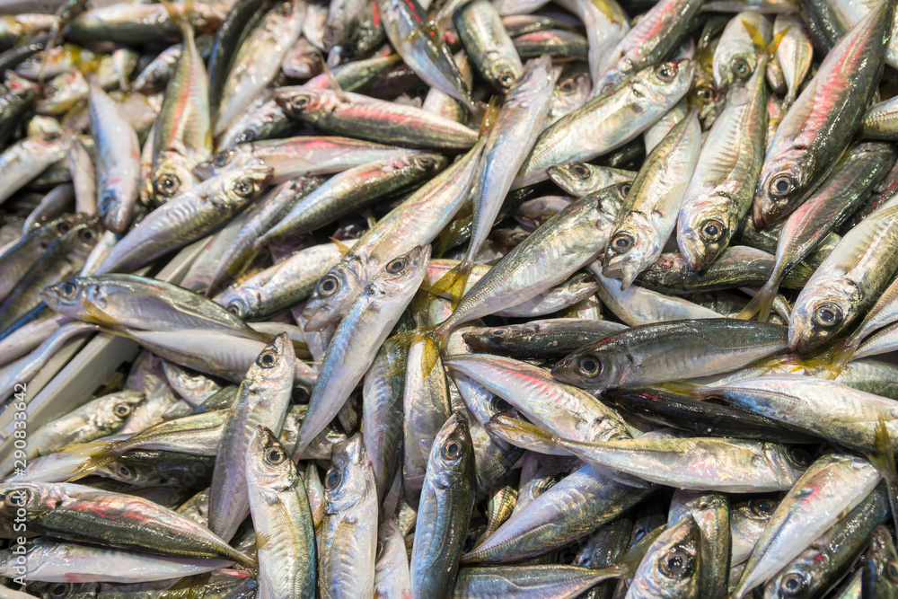 In the fish store, anchovy fishes on stand. In the fish store, anchovy fishes on stand.