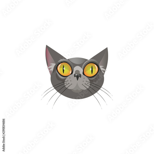 Smokey grey shorthaired cats face with huge eyes vector illustration © greenpicstudio