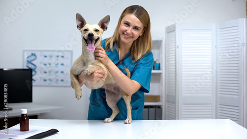 Smiling vet doctor stroking smiling dog at veterinary clinic, pet health checkup