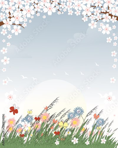 Horizontal template with cherry blossom with sun and wild grass flower on pink background  flowers falling from tree  Vector illustration background with Sakura branch in springtime