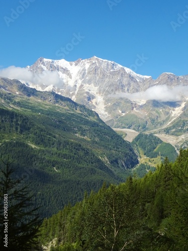 The "Monte Rosa" Massif seen from the woods and the pastures of the older valley, near the town of Macugnaga - August 2019.