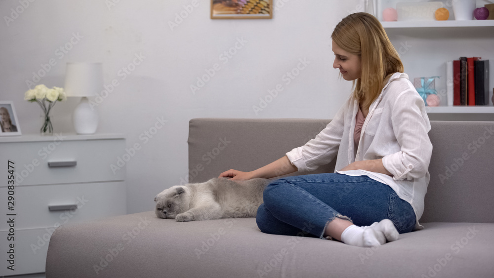 Pretty girl stroking scottish fold lying on couch, happy pet owner, relaxation Pretty girl stroking scottish fold lying on couch, happy pet owner, relaxation