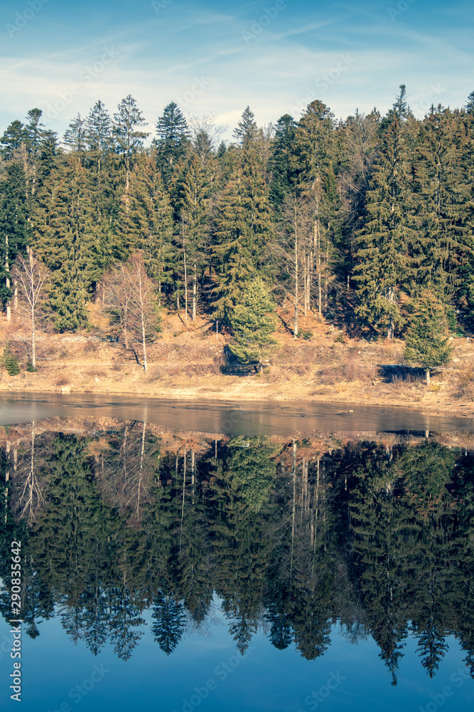 Obraz premium lake in forest