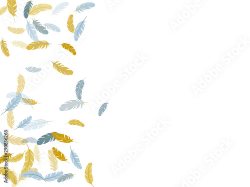 Falling feather elements soft vector design.