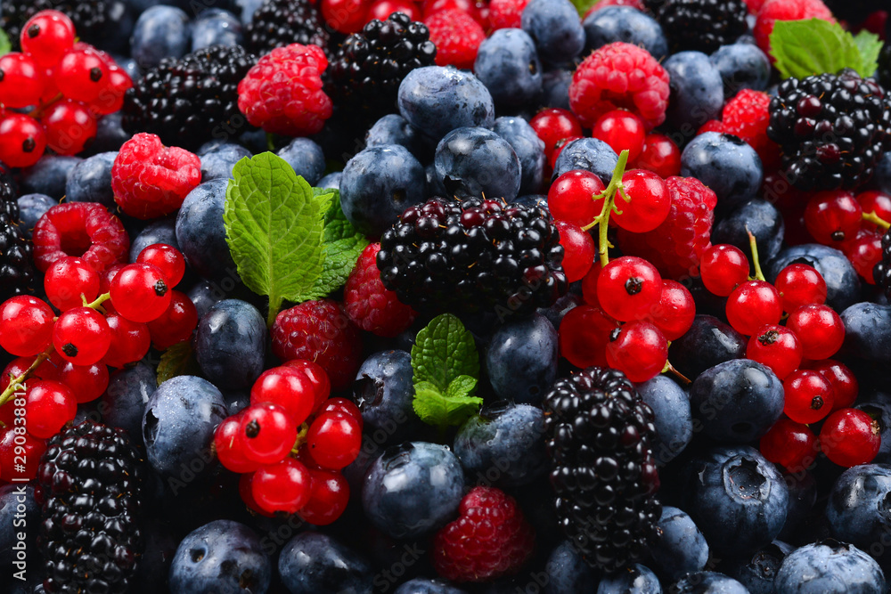 Blackberry, raspberry, blueberry, red currant and mint background. Blackberry, raspberry, blueberry, red currant and mint background.
