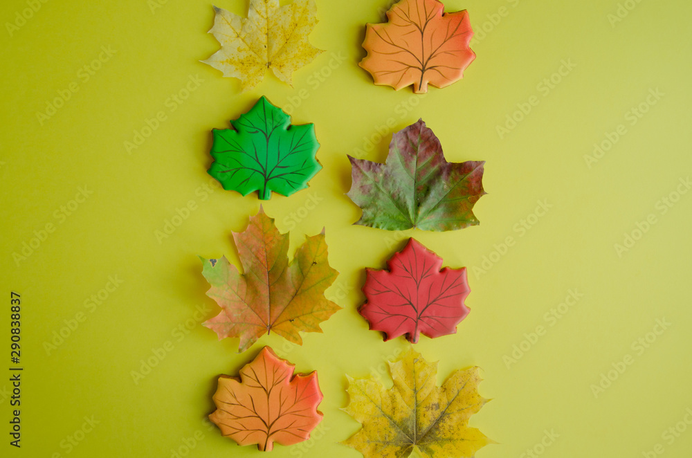 Autumn leaves and gingerbread cookies in the form of maple leaves on a yellow background. Autumn leaves and gingerbread cookies in the form of maple leaves on a yellow background.