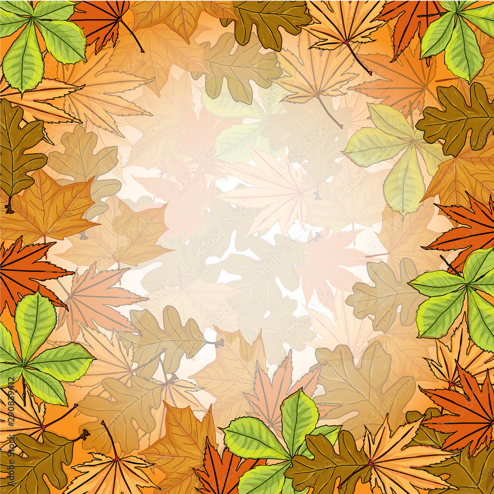 Vector illustration of autumn composition. Frame made of colorfull dried leaves. Autumn, fall concept.Top view, Flat lay Vector illustration of autumn composition. Frame made of colorfull dried leaves. Autumn, fall concept.Top view, Flat lay