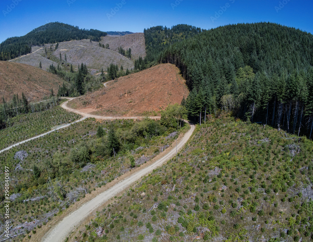 Beautiful Open Vista in the majestic mountains of Skamania County in the Washougal area of the state of washington Beautiful Open Vista in the majestic mountains of Skamania County in the Washougal area of the state of washington