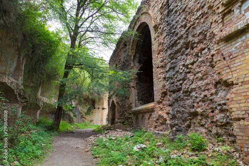 Fototapeta Naklejka Na Ścianę i Meble -  Tarakanovskiy fort, ruins. Ukraine