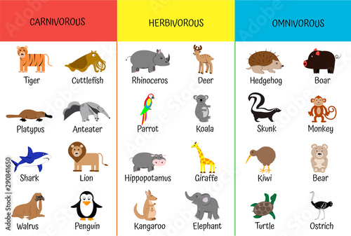 Carnivores, herbivores, omnivores. Animals by category. Educational card for children. Zoology for schoolchildren and preschoolers. Bear, shark, anteater, giraffe, hippo, kiwi, lion, ostrich