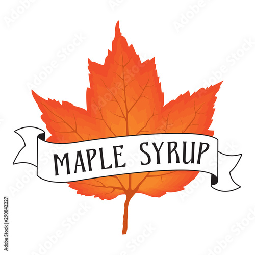 vector illustration of orange maple leaf with maple syrup banner