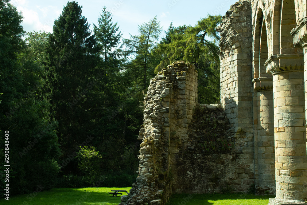 Ancient ruins wall with trees at background