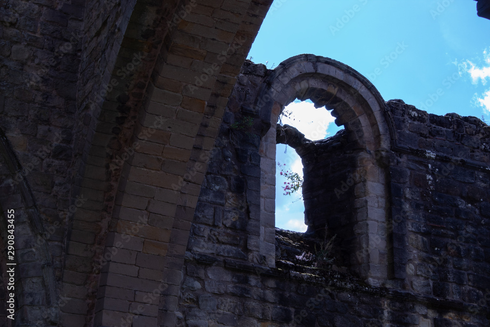 Window on ruins with flower