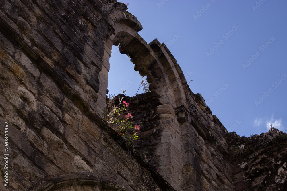Window on ruins with flower