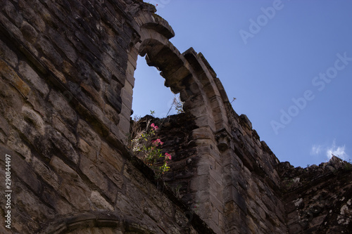 Window on ruins with flower
