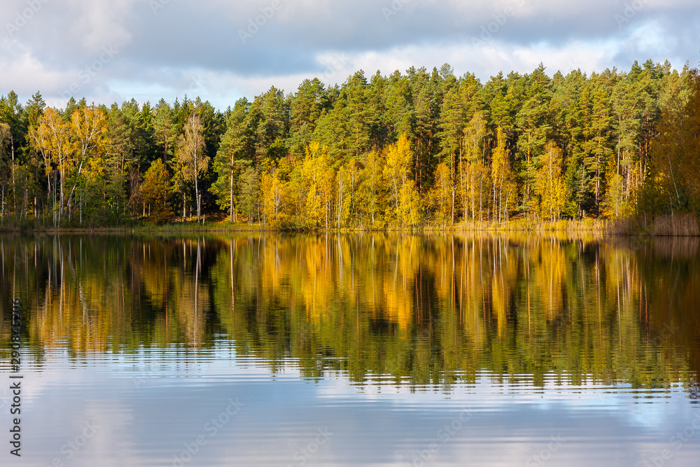 Autumn coloured trees on a lake