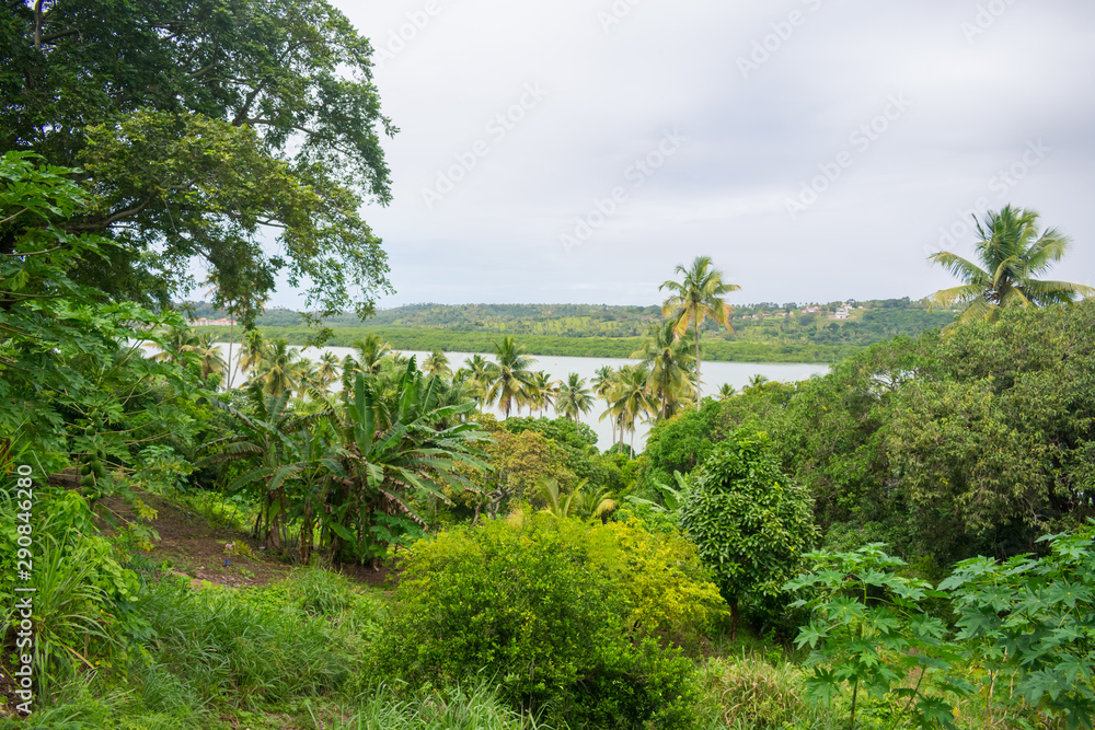 A view of the lush Atlantic Forest and Atlantic Ocean from Vila Velha on a rainy day - Itamaraca Island, Brazil