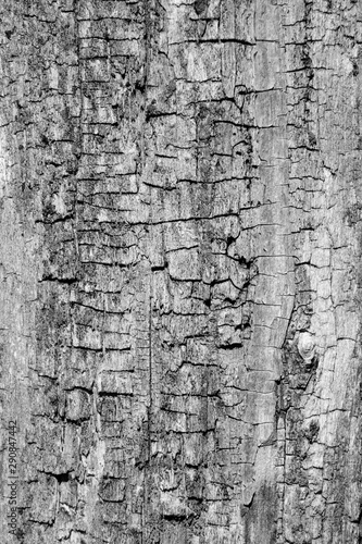 Holz Hintergrund Holzhintergrund abstrakt schwarz weiß