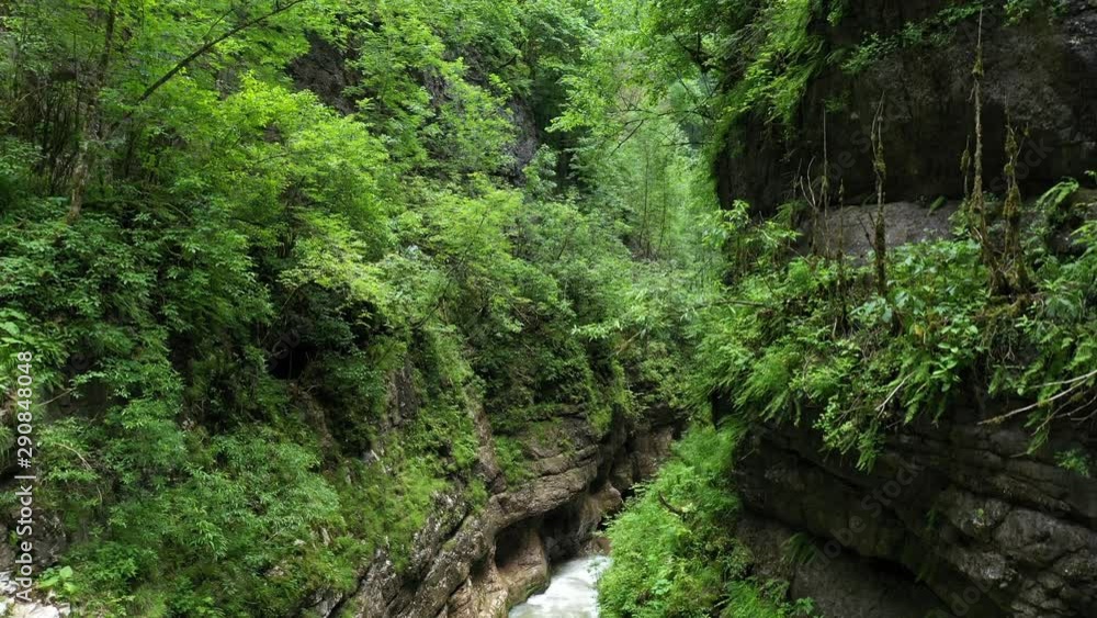 Spring in a mountain gorge, in the middle of a beautiful green forest Spring in a mountain gorge, in the middle of a beautiful green forest